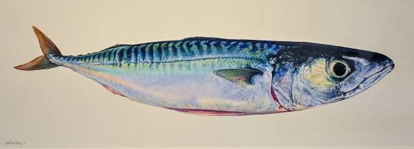- Oil on Board, Painting by Nicholas Smith, measuring 20 x 55 cm (H x W) framed at 38 x 74 cm £775